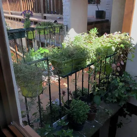 Holiday home Torreon Del Vicario *